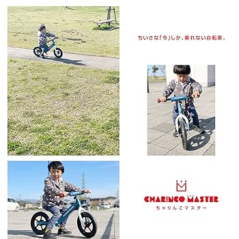 Amazon.co.jp: 【自転車メーカーサポート対応】MyPallas